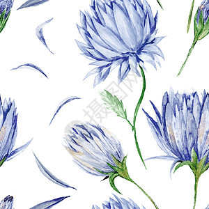 印地戈花类模式水彩雏菊纺织品蓝色卧室靛青树枝树叶绘画插图图片