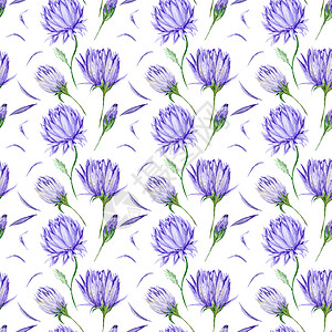 紫花花模式花朵粉色墙纸装饰品水彩织物白色花束牡丹植物图片