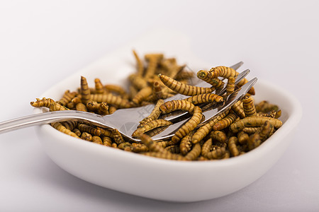 炸飞昆虫 软石动物昆虫蟑螂粉虫毛虫幼虫营养烹饪美食甲虫图片