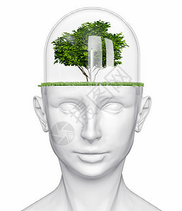 带树的人类头心理学想像力插图创新植物记忆天才叶子创造力生态图片