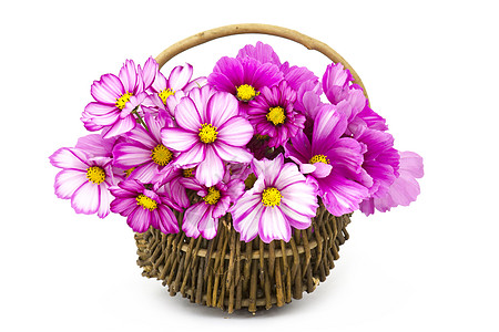 在一个篮子中展开花朵深度花束粉色紫色花瓣插花植物宏观紫红色花艺图片