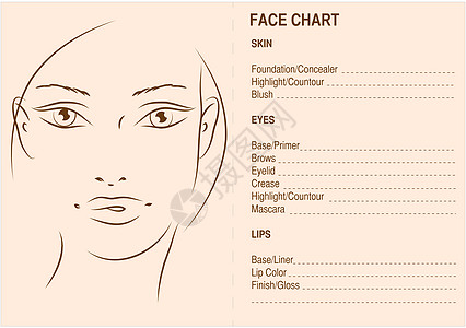 Artis Blank脸表图表眉毛遮瑕膏衬垫工具线条女士折痕化妆品嘴唇眼睛图片