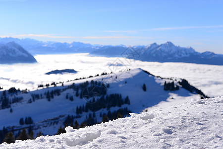 有云海背景的近距离雪;Rigi Kulm图片