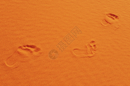 撒哈拉的脚步沙漠阳光沙丘橙子冒险路线脚印小路风景太阳图片