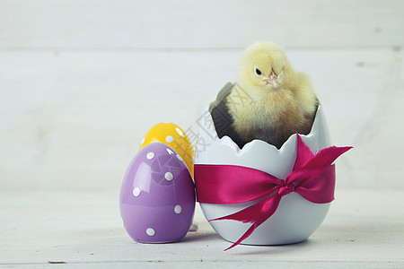 复活节鸡 鸡蛋和白色背景的装饰品假期木头小鸡礼物庆典装饰季节图片