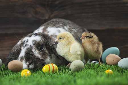 复活节鸡 鸡蛋和装饰品庆典假期贺卡绿色兔子季节木头卡片礼物装饰图片