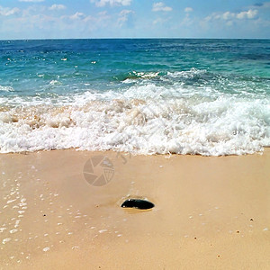 沙中的石头和后面的波浪风暴土地海藻卵石阳光假期海岸线风景边缘时间图片