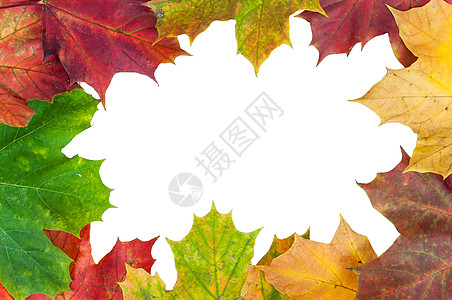 以秋色树叶制成的秋季版图框图片