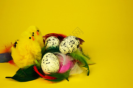 三只鸡蛋和两只鸡 复活节装饰品图片