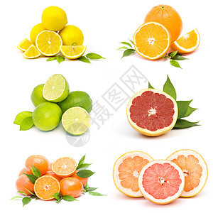 新鲜柑橘树水果图片