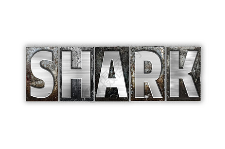 单独金属粉状型单体金属海洋凸版投资者游泳攻击大白鲨字母沙鲨打字稿高利贷者图片