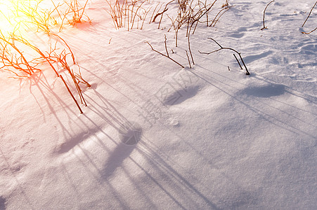 冬天在雪坡上的太阳耀斑图片