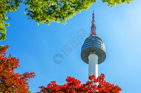 首尔塔和红色秋天的红秋月木叶 在苏南山的南山山天际公吨风景景观反射树叶地标场景城市图片