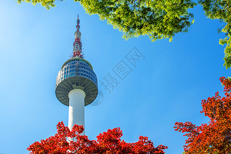 首尔塔和红色秋天的红秋月木叶 在苏南山的南山山场景风景地标公吨反射城市天际树叶景观图片