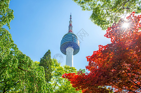 枫斗韩国人风景优美的高清图片