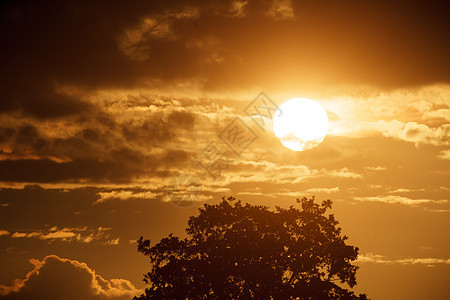 云地平线美丽太阳植物环境日落阳光公园森林天空图片