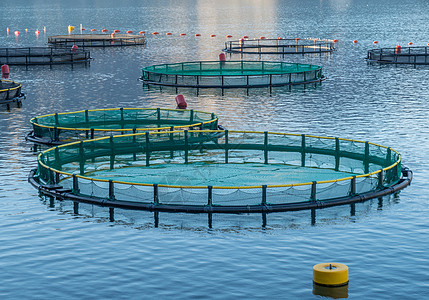 用于养鱼的礁群商业食物农场钓鱼生产海岸蓝色水池养殖水产图片