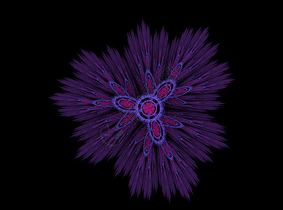 抽象的分形刺刺花紫色背景图片