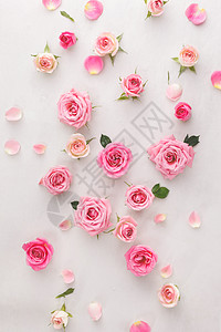 玫瑰和花瓣背景图片