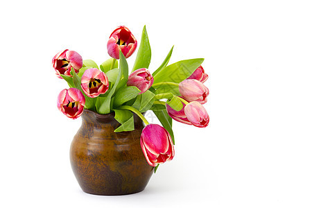 花瓶中的红色郁金香花束植物群叶子季节快乐植物假期周年花瓣纪念日图片