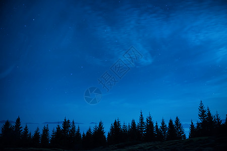 蓝色暗夜下的松树林银河系蓝色木头墙纸宇宙星座星系松树天空星云图片