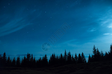 月月下松树林和蓝色夜空墙纸星系松树火花天文学天空星云星座木头森林图片