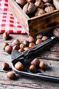 带栗子的胡桃核桃椰子棕色用具健康小吃压力团体坚果坚果木图片