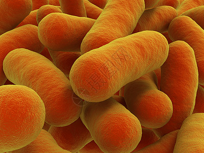 细菌菌株图片