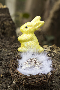 复活节快乐巢蛋背景假期绿色乡村季节蛋壳兔子羽毛木头传统图片