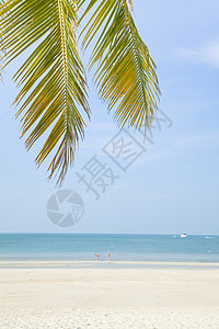 马来西亚兰卡维 马来西亚 沙沙滩上伞下休息厅风景海景天堂海洋休息室躺椅太阳蓝色情调支撑图片