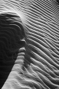背景波浪图案artsan沙丘白色黑色艺术性阴影体重摘要波浪形曲线艺术图片