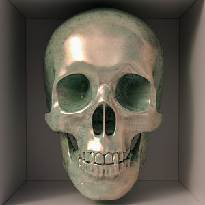 金属头骨骨骼骷髅头治疗人类死头医学药品骨头材料脑壳图片