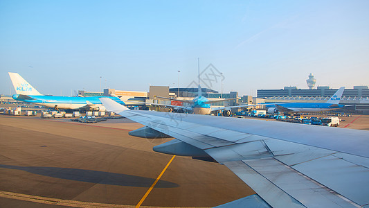 荷兰阿姆斯特丹Schiphol机场乘客民航建筑学交通技术窗户行李喷射假期安全图片