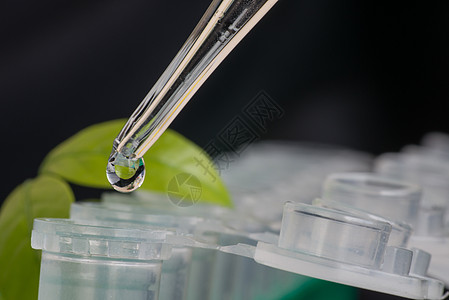 特写微离心管实验摄影微生物学持有者测试法医实验室塑料标本技术图片