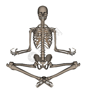 人体骨骼冥想 3D仁德药品白色沉思脊柱牙齿医疗x射线胸部颅骨身体图片