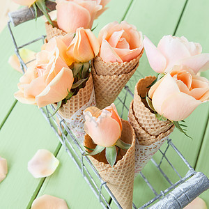 新鲜粉红玫瑰花正方形花朵糖果粉色冰淇淋生日甜筒花瓣植物群绿色图片