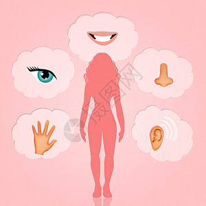 五个感官女士耳朵听力身体药品插图女性眼睛鼻子女孩图片