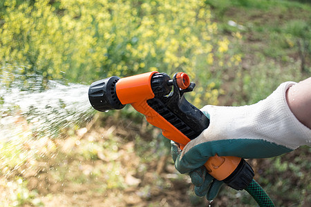 田间浇水作物洒水器女士园艺后院院子手套植物工作灌溉园丁图片
