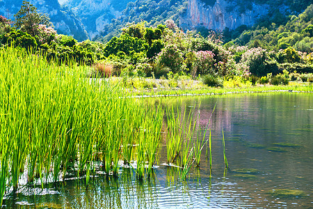 湖边美丽的风景景观季节蓝色场地公园花朵场景花园太阳植物溪流图片