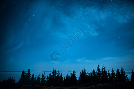 蓝色暗夜下的松树林蓝色墙纸森林火花木头银河系星云天空星光魔法图片
