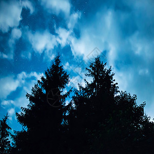 有树的黑森林在蓝色夜sk天文学木头星云星星乳白色墙纸宇宙黑暗白色黑色图片