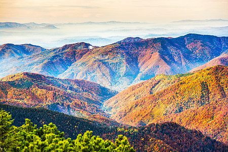 美丽的蓝色山脉和山丘图片