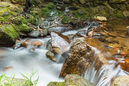 小瀑布公园岩石运动旅行石头绿色溪流风景荒野森林图片