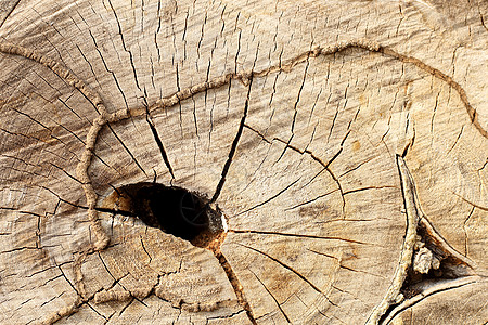木墙纹理背景木工村庄控制板木板框架粮食家具硬木团体木头图片