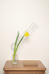 花瓶和一本书中的黄色自恋图片