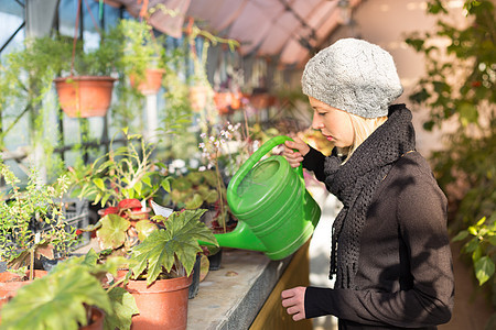 在温室工作的花女工艺栽培园艺花艺女性女士喷壶农场花店环境图片