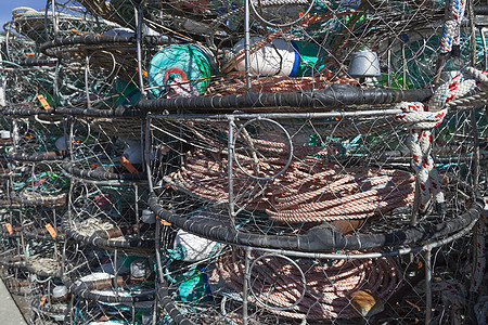 龙虾陷阱码头网络蓝色港口钓鱼动物贝类绳索海洋甲壳图片