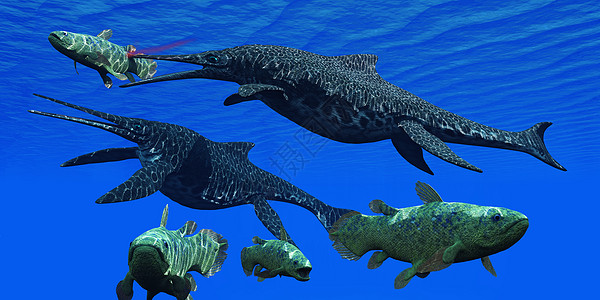 海洋病原体怪物牙齿灭绝野生动物爬行动物生活海洋生物生物鲈鱼爬虫图片