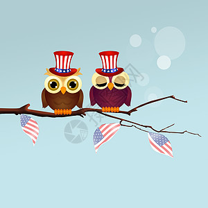 月 4 日独立日庆典鸟类卡通片插图旗帜猫头鹰自由星星爱国纪念馆图片