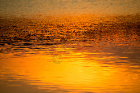 春天的夕阳倒映在水中图片
